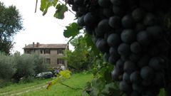 Casa Augusta 2010.JPG