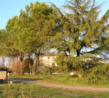 Le colline del Lago di Garda...